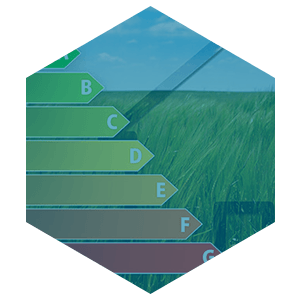 Energy Efficiency Consulting