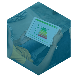 Whole Home Energy Audit