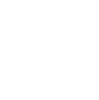 BPI logo