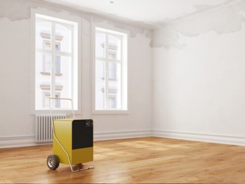 Dehumidifier in Atlanta, GA