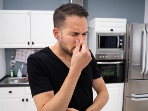 Kitchen Sink Smell