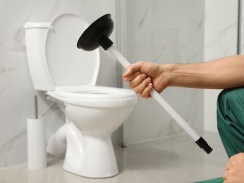 Person Holding a Plunger Over a Toilet